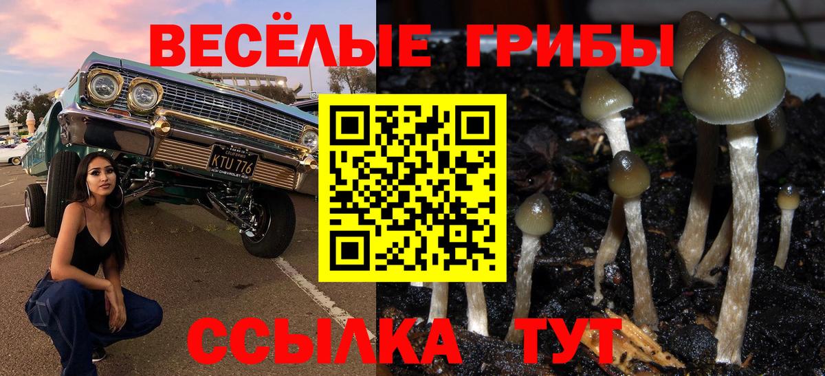 Псилоцибиновые грибы прущие грибы  сколько стоит  Галлюциногенные грибы Psilocybine cubensis  Можайск  Вход с VPN 